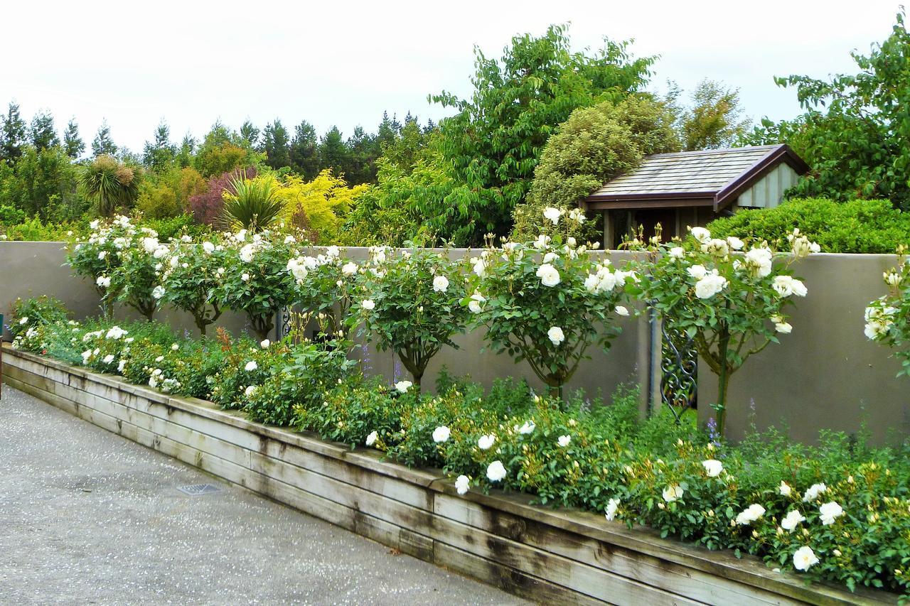Belle Maison French Country Stay New Plymouth Buitenkant foto